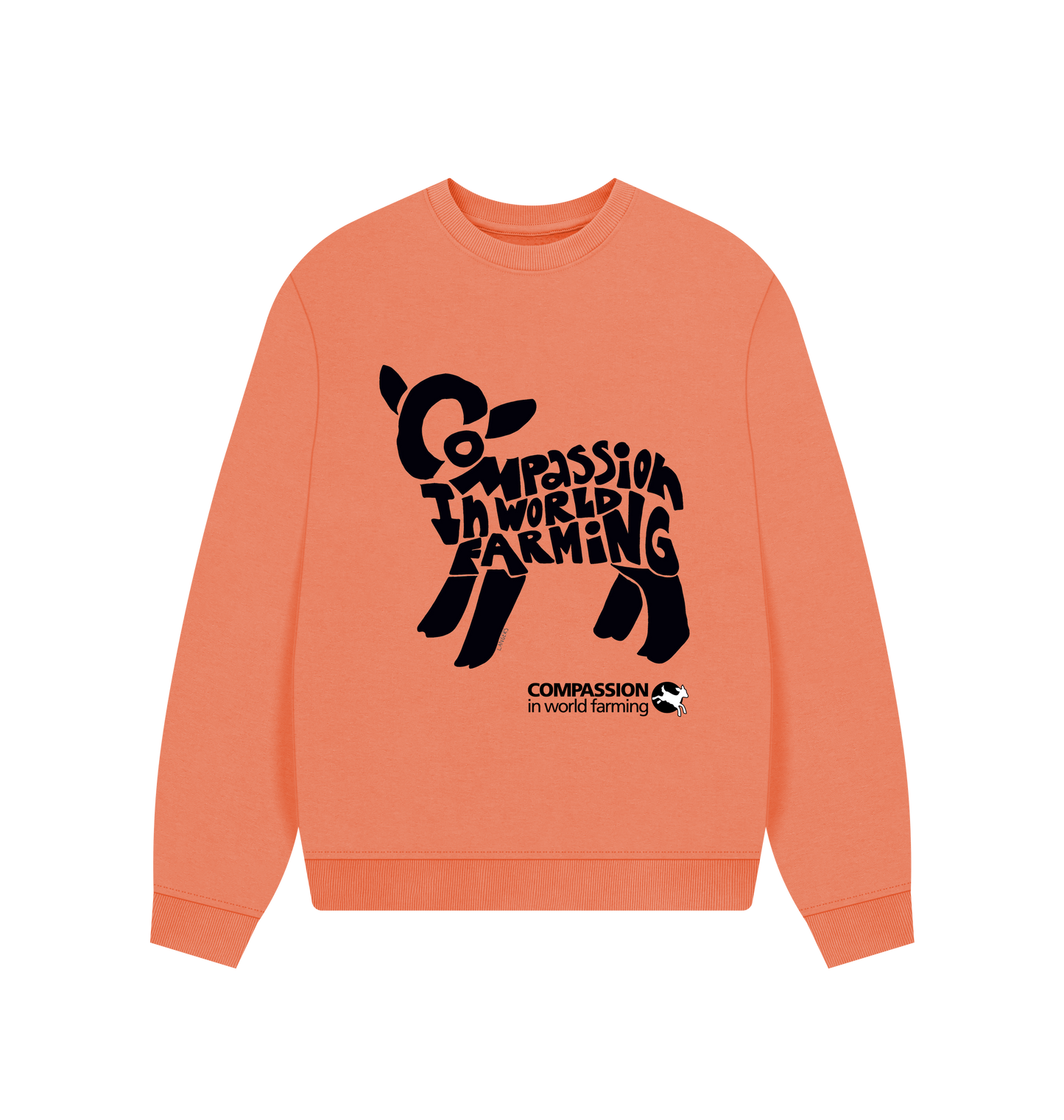 Apricot Printed Sweater Front