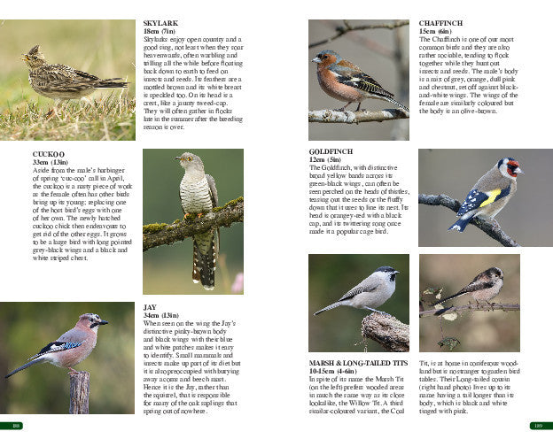 A double page spread extract from the book.