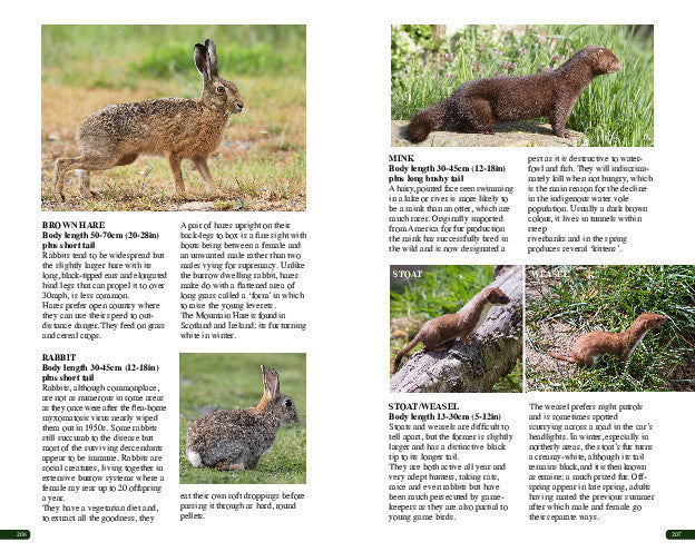 A double page spread extract from the book.
