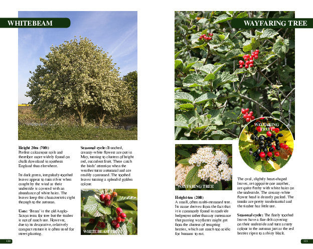 A double page spread extract from the book.