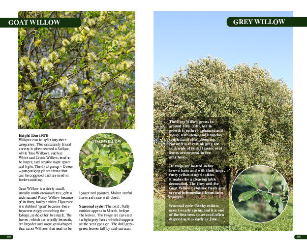 A double page spread extract from the book.