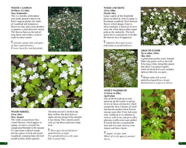 A double page spread extract from the book.