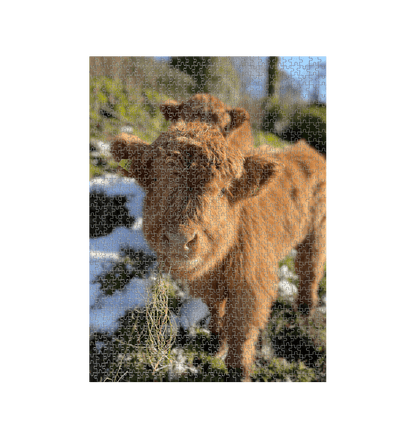 White Cow Jigsaw (Portrait)