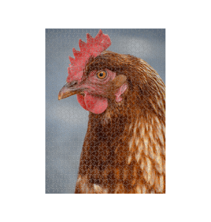 White Hen Jigsaw (Portrait)