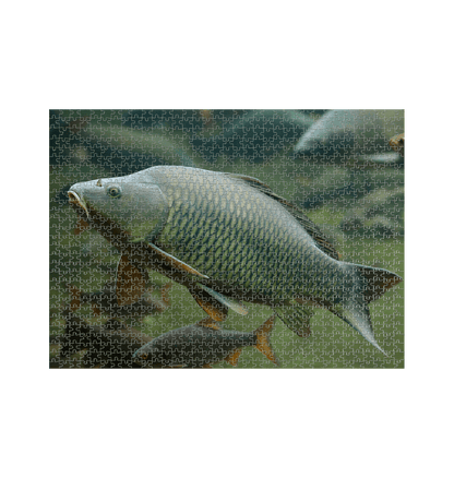 White Fish Jigsaw (Landscape)