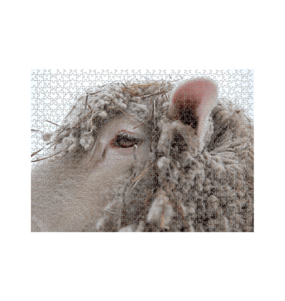 White Sheep Jigsaw (Landscape)