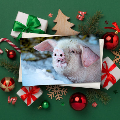 Christmas card featuring a pink pig with a snow-covered snout in a snowy outdoor setting, surrounded by wrapped presents, baubles, pine branches and festive decorations on a green background.