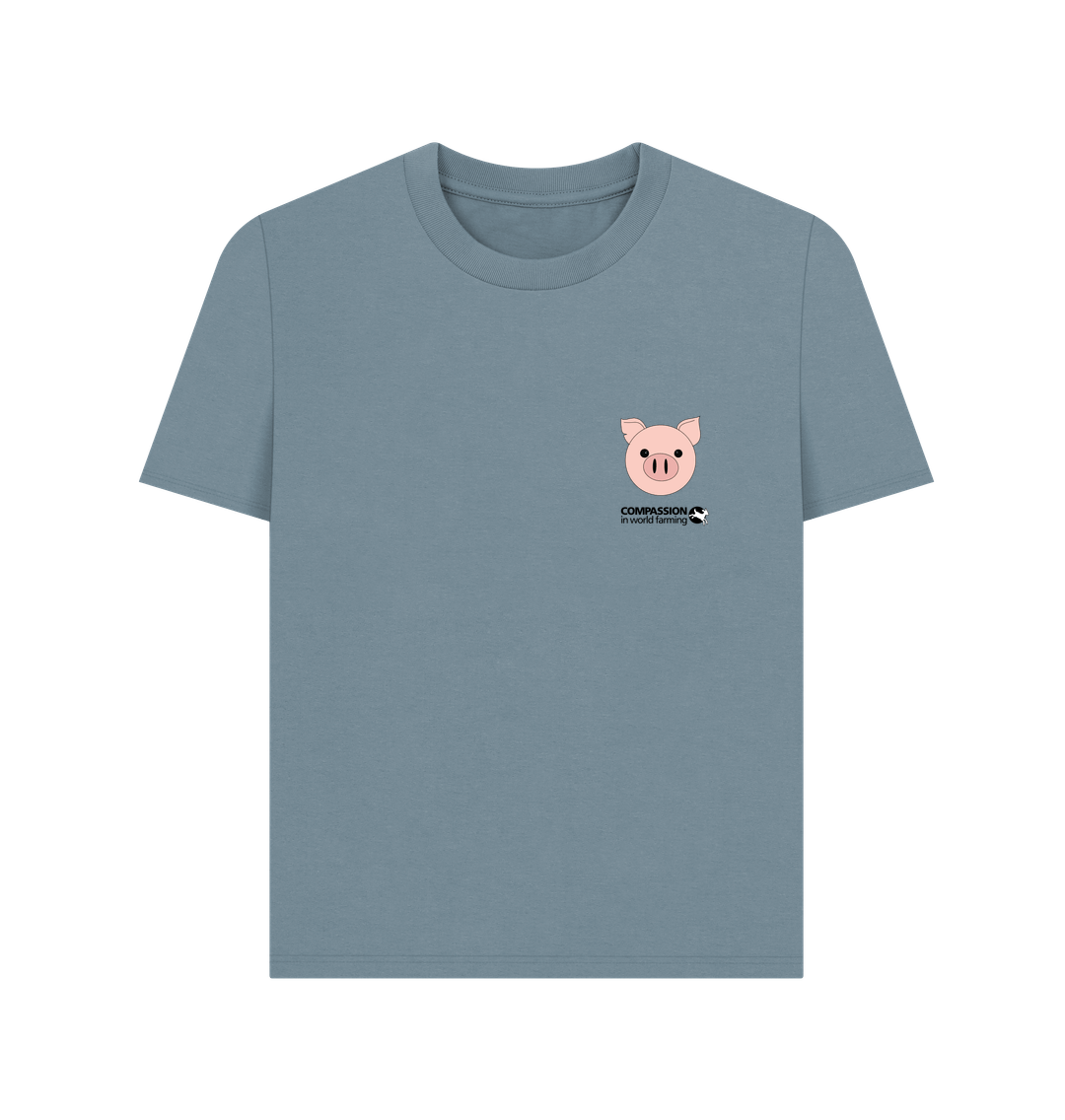 Stone Blue Fields Not Factories Pig Women's oversized t-shirt