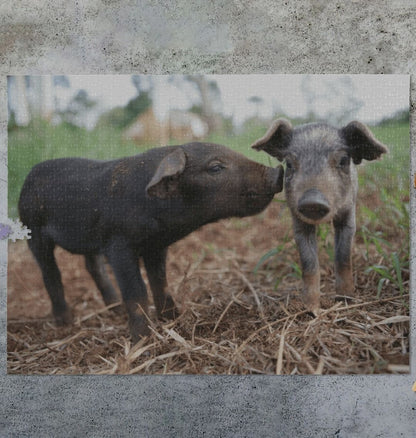 Pig Jigsaw (Landscape)