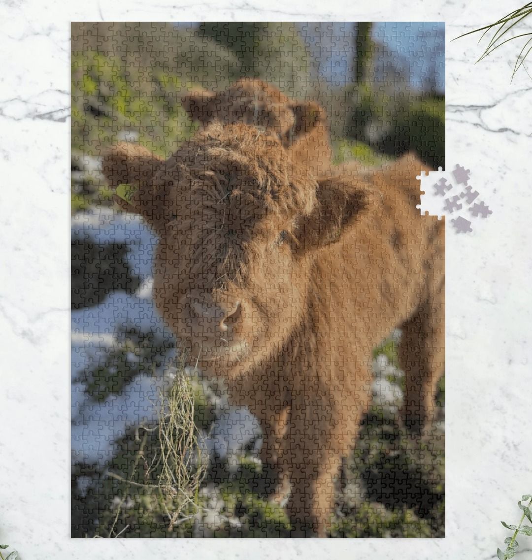 Cow Jigsaw (Portrait)