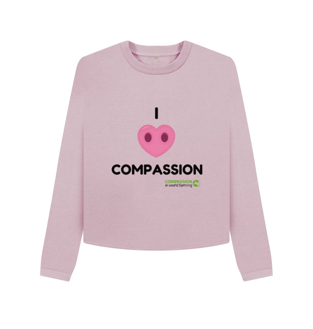 Mauve Women's Compassion Boxy Jumper